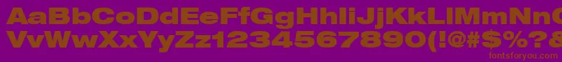 ContextRepriseBlackexpSsiBold Font – Brown Fonts on Purple Background