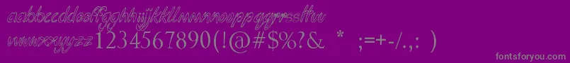 FungaDongaBinge Font – Gray Fonts on Purple Background