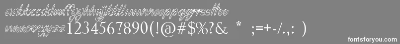 FungaDongaBinge Font – White Fonts on Gray Background