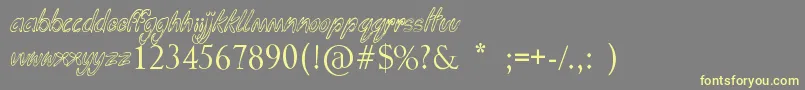 FungaDongaBinge Font – Yellow Fonts on Gray Background