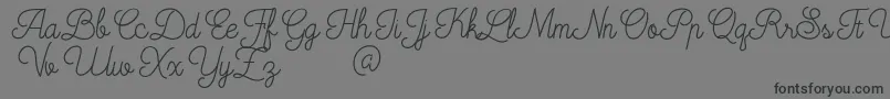 fuente Mooglonk – Fuentes Negras Sobre Fondo Gris