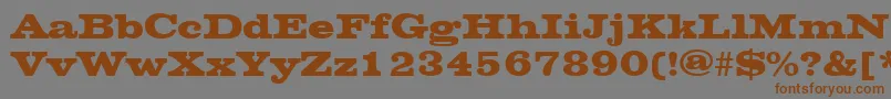 More about ChesterfieldRegular Font ChesterfieldRegular Font – Brown Fonts on Gray Background