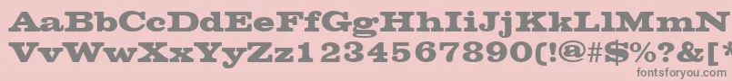 ChesterfieldRegular Font – Gray Fonts on Pink Background