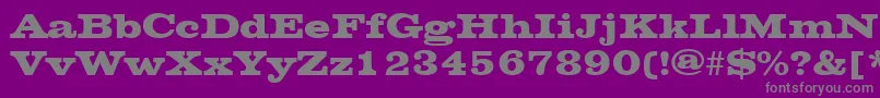 ChesterfieldRegular Font – Gray Fonts on Purple Background