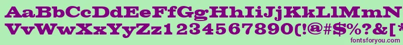 ChesterfieldRegular Font – Purple Fonts on Green Background