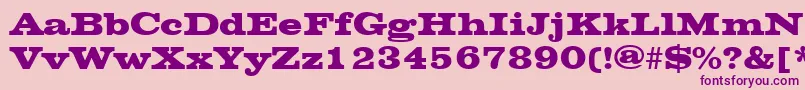 ChesterfieldRegular-Schriftart – Violette Schriften auf rosa Hintergrund
