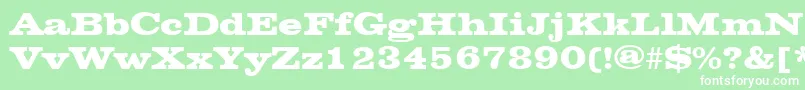 ChesterfieldRegular Font – White Fonts on Green Background