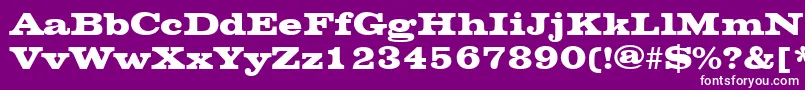 ChesterfieldRegular Font – White Fonts on Purple Background