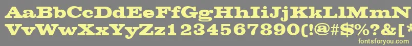 ChesterfieldRegular Font – Yellow Fonts on Gray Background