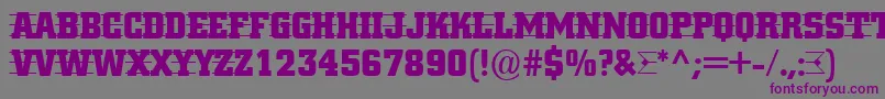 Cityno4 Font – Purple Fonts on Gray Background