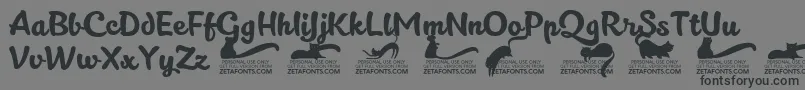 Шрифт Kittenslanttrial – чёрные шрифты на сером фоне