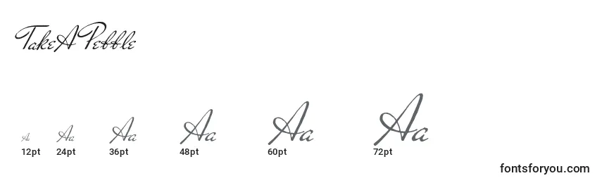 TakeAPebble Font Sizes