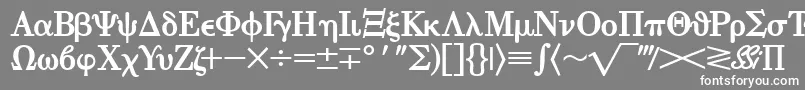 EisagogreeksskBold Font – White Fonts on Gray Background