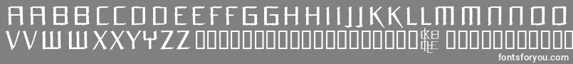 Orchidee Medium Font – White Fonts on Gray Background