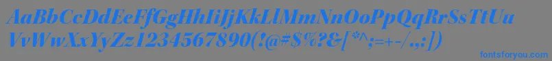 KeplerstdBlackitdisp Font – Blue Fonts on Gray Background