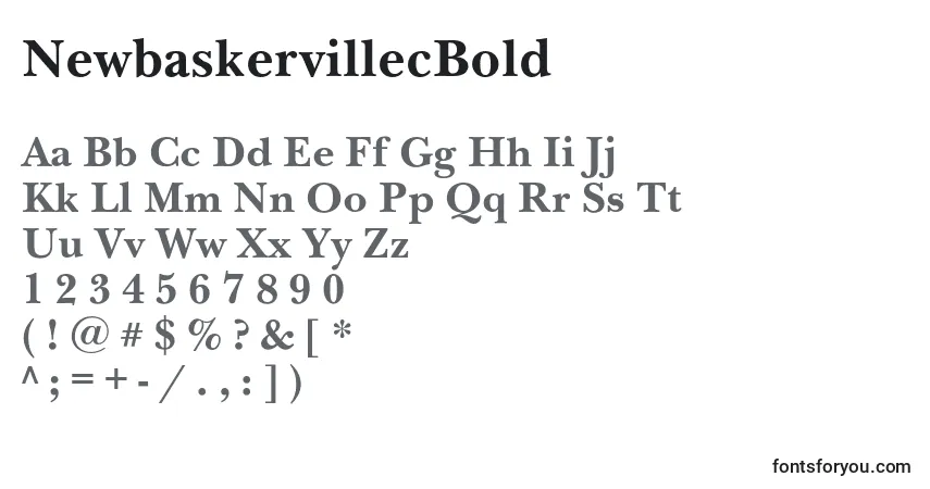 Czcionka NewbaskervillecBold – alfabet, cyfry, specjalne znaki