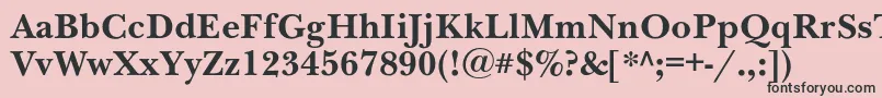 NewbaskervillecBold Font – Black Fonts on Pink Background