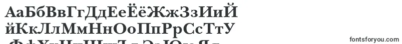 NewbaskervillecBold Font – Tajik Fonts