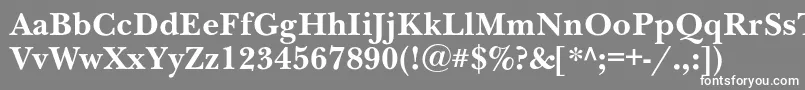 フォントNewbaskervillecBold – 灰色の背景に白い文字