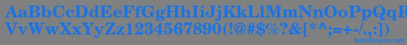 AgnewhandbookcBold Font – Blue Fonts on Gray Background