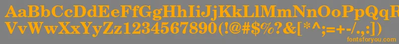 AgnewhandbookcBold Font – Orange Fonts on Gray Background