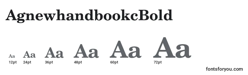 Размеры шрифта AgnewhandbookcBold