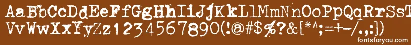 ThroughTheNight Font – White Fonts on Brown Background