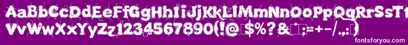 KingthingsLupineless Font – White Fonts on Purple Background
