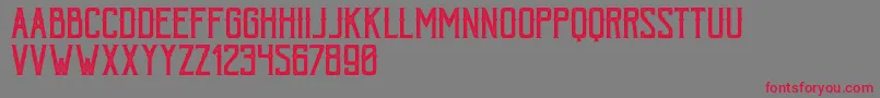 BohemPressFree-Schriftart – Rote Schriften auf grauem Hintergrund