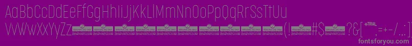 CocogooseCompressedThinTrial-Schriftart – Graue Schriften auf violettem Hintergrund