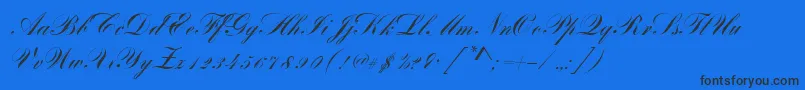 BayscriptRegular Font – Black Fonts on Blue Background