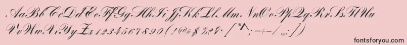 More about BayscriptRegular Font BayscriptRegular Font – Black Fonts on Pink Background