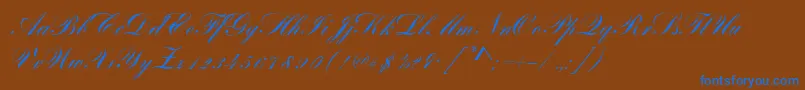 More about BayscriptRegular Font BayscriptRegular Font – Blue Fonts on Brown Background