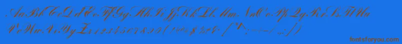 BayscriptRegular Font – Brown Fonts on Blue Background