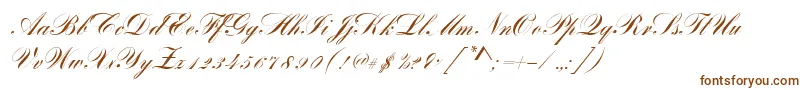 BayscriptRegular-Schriftart – Braune Schriften auf weißem Hintergrund