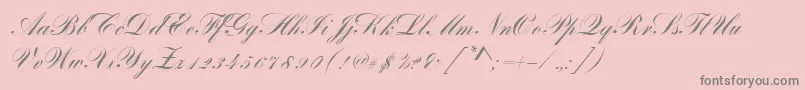 BayscriptRegular Font – Gray Fonts on Pink Background