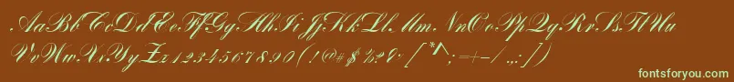 Шрифт BayscriptRegular – зелёные шрифты на коричневом фоне