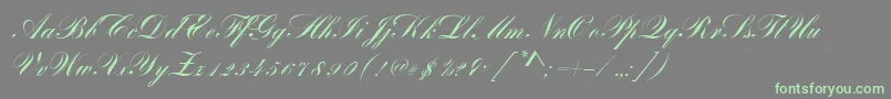 BayscriptRegular Font – Green Fonts on Gray Background