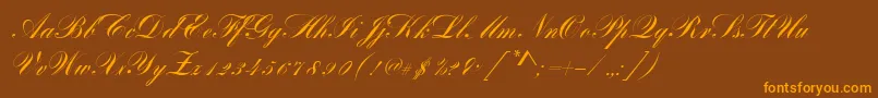 BayscriptRegular Font – Orange Fonts on Brown Background