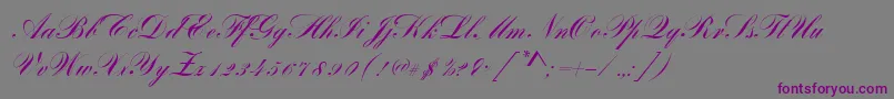 BayscriptRegular-Schriftart – Violette Schriften auf grauem Hintergrund