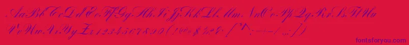 BayscriptRegular Font – Purple Fonts on Red Background