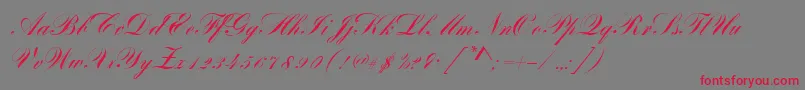BayscriptRegular-Schriftart – Rote Schriften auf grauem Hintergrund
