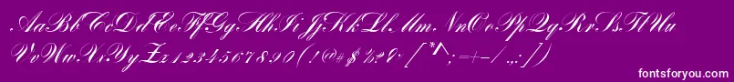 BayscriptRegular Font – White Fonts on Purple Background