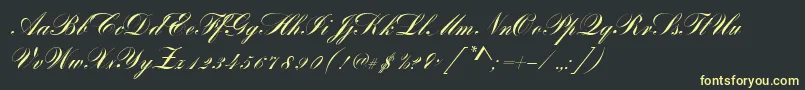 BayscriptRegular Font – Yellow Fonts on Black Background