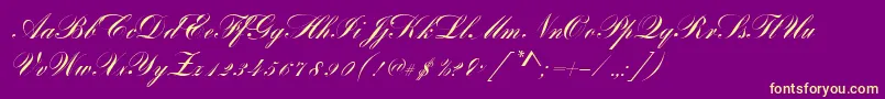 BayscriptRegular-Schriftart – Gelbe Schriften auf violettem Hintergrund