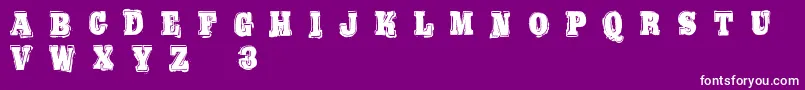 BoldPressingH3Demo Font – White Fonts on Purple Background