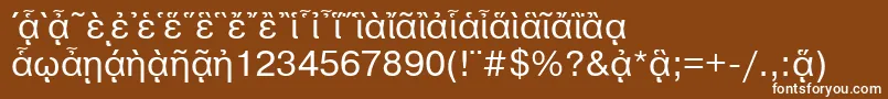 フォントPragmaticapgttNormal – 茶色の背景に白い文字