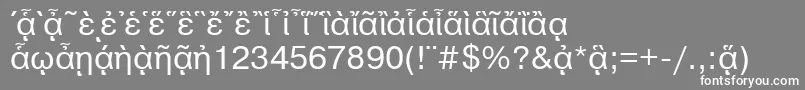 フォントPragmaticapgttNormal – 灰色の背景に白い文字