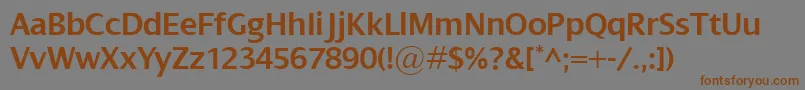 フォントDialogSemibold – 茶色の文字が灰色の背景にあります。