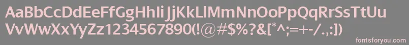 フォントDialogSemibold – 灰色の背景にピンクのフォント